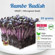 [20g] MG29 Rambo Radish Microgreen Soon Huat Seeds