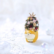 【現貨】迷你永生松果聖誕樹擺飾-胖柴犬