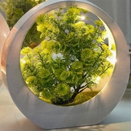 Artificial Plant Bonsai with LED Light Small Tree Pot Fake Plant Potted Ornaments Home Table Decorat