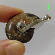 Ammonium pendant Full-Body Ammonite Shell Million-Year-Old Clam Can Be Carried With You. Increase Po