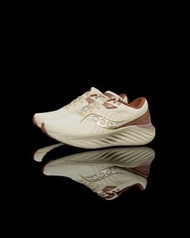Saucony Triumph 22
