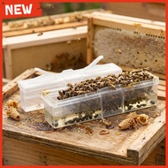 【NEW】for Beetle Trap Collection Tool: Effective Catcher