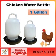 Automatic Chicken Water Feeder Bottle / Bekas Minuman Ayam {1 Gallon (3.78L+-)}