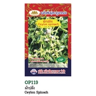 Ceylon spinach Seeds Large Flower Beneficial For Health. Gives Both Flowers And Leaves.