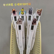 Cat meme Combination Electronic Pen Spoof Funny Student Exam Straight Liquid Type Replaceable Brush 