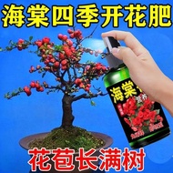 Begonia Flower Nutrition Liquid Diluted-Free Flower Fertilizer Four Seasons Begonia Flower Special N