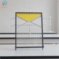 [Dovewill] Galton Board Professional Grade Normal Distribution Demonstrator Gaussian Distribution Mo
