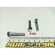 MESIN White Flange Bolt M6 田 30 (3cm) Key 8 Engine Block/ FO/ Flange/ Bolt