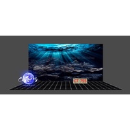 3d painting. stickers for aquariums, arowana fish tanks (back painting)