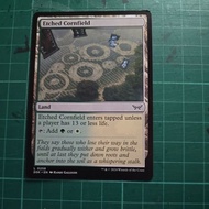 etched cornfield - DSK