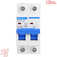 VIOLETLILAC 2P Circuit Breaker, 2P 400V AC DZ47-63 Circuit Breaker, Durable 25A/40A/50A/63A Air Circ