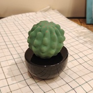 Frank Cactus 陶瓷香薰機