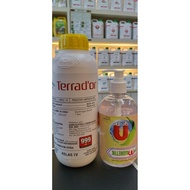 Terrador 1L & FOC Magnetik 500ML