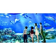 Oceanarium cheap ticket discount promotion Sentosa Universal Studios Adventure cove water park Madam