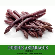 10 BIJI BENIH Purple Asparagus Seeds