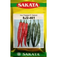 Benih Cili Besar Sakata 461