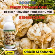Pupuk Super Booster Bengkoang Pupuk Organik Bengkoang Pupuk Pembesar Umbi Bengkoang Pupuk KhususCair