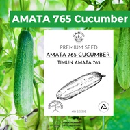 🥒 𝐏𝐥𝐚𝐧𝐭𝐡𝐞𝐫𝐞𝐮𝐦 Premium AMATA 765 Cucumber Seeds 100% Organic | Benih Timun AMATA 765 |