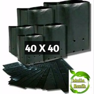 1 Plastic Polybag Size 40x40 Polybag Vegetable Tabulampot Seedling Bag Thick Durable