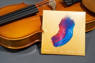ชุดสายไวโอลิน DAddario Ascenté Violin Strings set 4/4 ผลิตในอเมริกา แท้ 100%