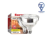 SOLAR LIGHT PAR 20 W
