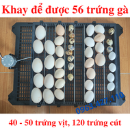 Khay đảo trứng gà vịt mới nhất
