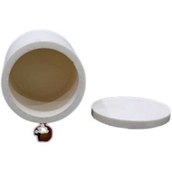 Planet Grinding Can Find Cans Tianchuang Ball Grinder Planet Accessories 250ml Corundum OOHZ