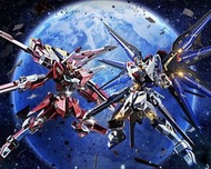 Metal Robot 魂 20th Strike Freedom + Infinity Justice