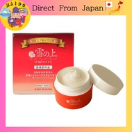 Yukinoue All-in-One Gel for Dry and Normal Skin