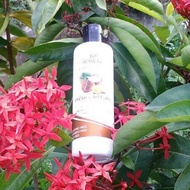 Shampoo Santan My Home Lab