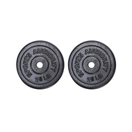 25LBS X 2PES SPORTS AUTHORITY dumbell/barbell plates ( PAIR )