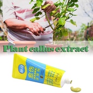 100g Bonsai Grafting Paste Plant Wound Healing Agent with Brush Pruning Paste