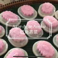 10 lubang AngKu Kuih jeli puding acuan/penyu Shell Mooncake acuan