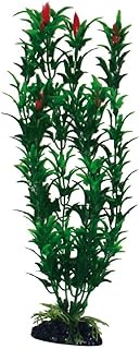 Wave A8011253 Plant Classic Egeria, 18 cm