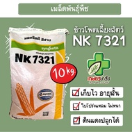 ข้าวโพด เลี้ยงสัตว์ NK7321 10กิโล 7321