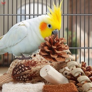 Natural Rattan Parrot Toy Box For Cockatiel Lovebird Budgie Chewing Enrichment