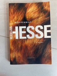 IB English- Steppenwolf by Hermann Hesse