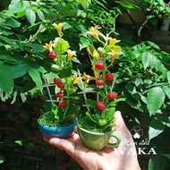 Mini Clay Flowers - Mini Tomato Rig 15cm