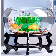 Akuarium kaca, akuarium ikan emas kecil, akuarium kura-kura, meja pejabat, ruang tamu, akuarium hias