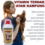 Vitamin Ternak Ayam Kampung cepat besar / penambah nafsu makan ayam kampung / penggemuk ayam kampung