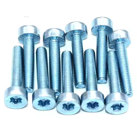 10PKS T27 Torx Bolt M5 x 25 for Stihl Makita Dolmar Oleo-Mac Chainsaw Bruchutter Blower Tiller