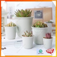 Round Thick Tall Plastic Pots  succulent pot cactus flower pot 圆形万象盆花盆万象盆 多肉花盆 植物花盆 花盆 塑料盆 盆 小花盆 彩色花盆