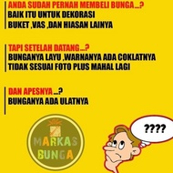 ! BUNGA ANGGREK BULAN / BUKET BUNGA ANGGREK / RANGKAIAN BUNGA ANGGREK