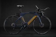 特价全新正品Pardus Gomera Disc瑞豹戈梅拉鐵三車TT車計時車碟剎公路車ut套件鐵人三項車 carbon TT roadbike TTbike