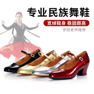 Dance Shoes Female Xinjiang Dance Adult Professional Ethnic Dance Shoes Soft Sole Mid-heel Wei Ethni