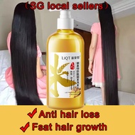 Hair loss shampoo-Hair growth shampoo-Ginger shampoo 500ML Anti hair loss/Fast hair growth/Anti dandruff/Control oil/Relieve itching/Moisturizing