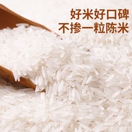 Tailinan Classic Oil Sticky Rice 2.5kg Southern Long Grain Fragrant Soft Rice Rice 3kg Fresh Rice In