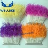 Ostrich Feather Factory Direct Sale Fabric Edge Ribbon Ostrich Feather Gradient Feather Ribbon Gradi