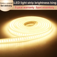 220V strip light, 2835 type waterproof Christmas light strip, outdoor IP65 protection rating