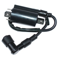 Ignition Coil For John Deere LX186 LX188 LX277 LX279 LX289 F710 F725 F911 4x2 4x4 6x4 XUV Gator 620i